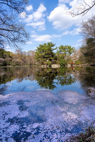 画像提供：練馬区