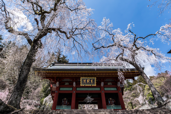 国指定重要文化財が点在する「妙義神社」（画像提供：富岡市）