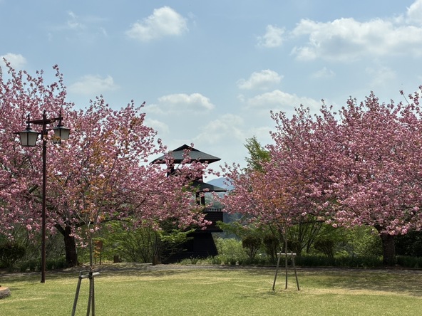 画像提供：茂木町