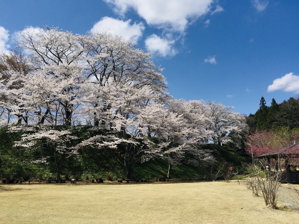 画像提供：茂木町