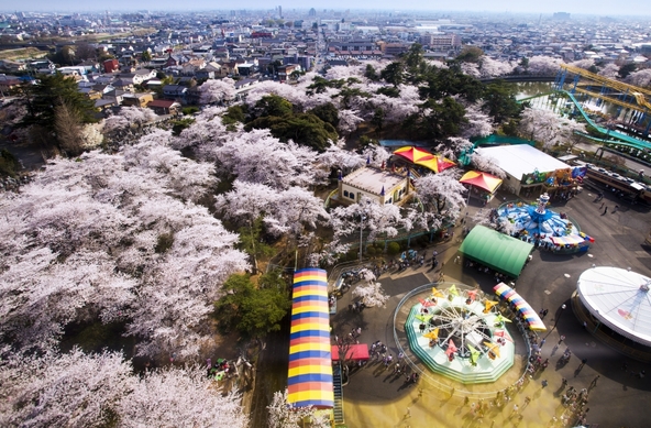 桜が満開の遊園地（画像提供：観光ぐんま写真館 https://gunma-kanko.jp/）