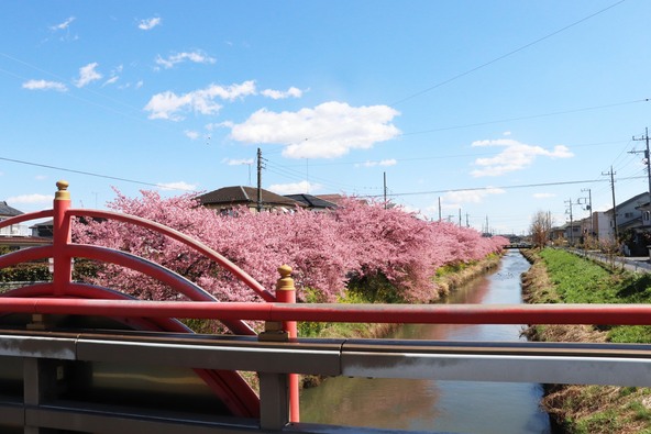 画像提供：久喜市観光協会