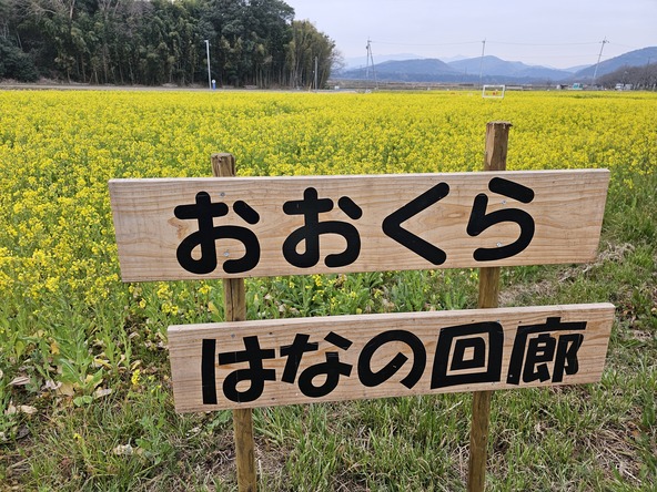 2026年3月18日の様子