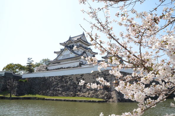 「第70回岸和田市お城まつり」とあわせて、クルーズもチェックしてみてください