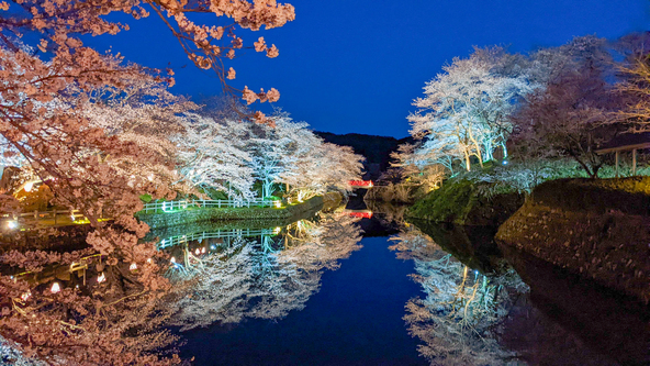 幻想的なライトアップは必見！