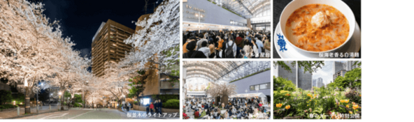 桜の装飾と屋台・音楽で楽しむ春の祭り