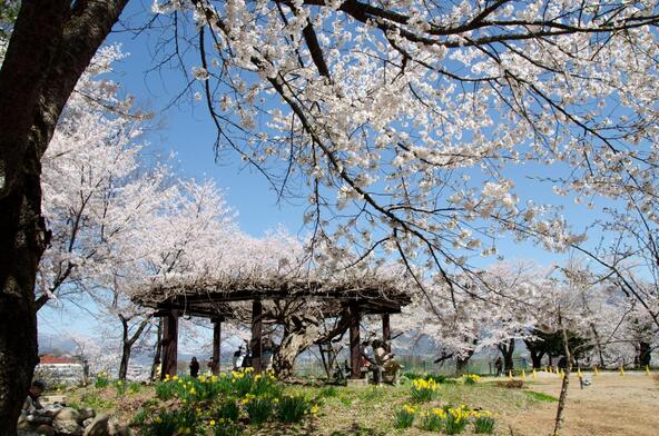 提供：信州いいやま観光局