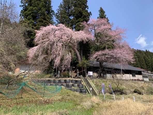 画像提供：豊根村観光協会
