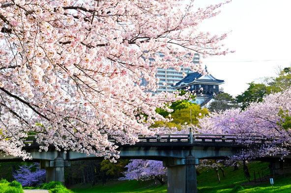 東海地方屈指の桜の名所です（画像提供：t.mas / PIXTA）