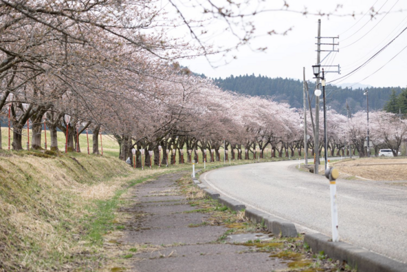 駐車場に車を停めてゆっくり散策するのもおすすめ（提供：関川村）