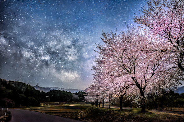 未来の子供たちに残したい風景
