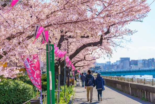 「墨堤さくらまつり」過去開催時の様子（画像提供：aki / PIXTA）