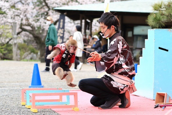 日光さる軍団・太郎次郎一門によるにぎやかな猿まわしが中央広場で披露されます