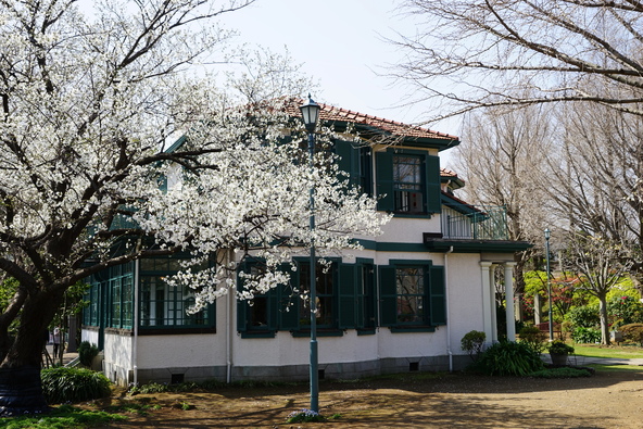 まるで一幅の絵のような光景（画像提供：i-flower / PIXTA）