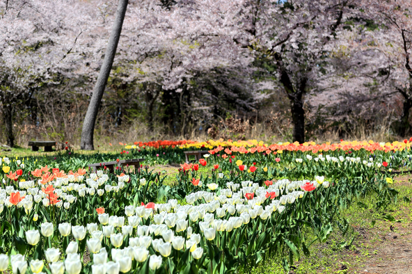 （画像提供： rara / PIXTA）