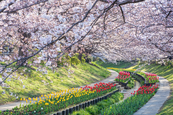 （画像提供：genki / PIXTA）