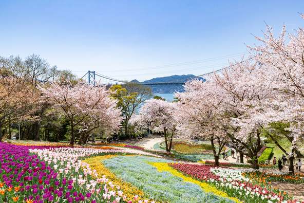 （画像提供：w_stock / PIXTA）