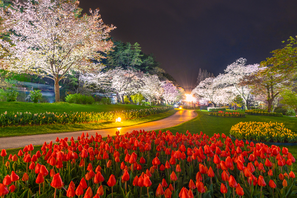 （画像提供：nosuke / PIXTA）