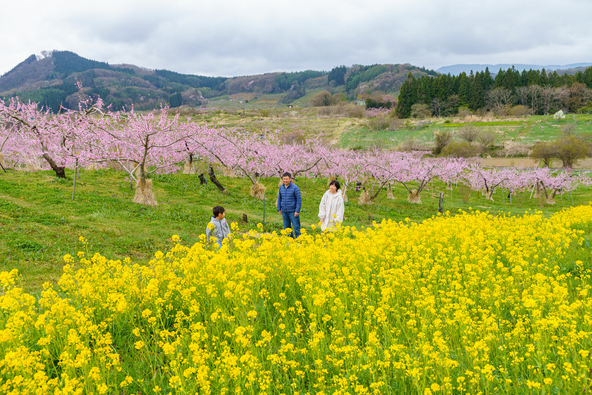 春のやわらかな空気を感じながら、のんびり散策も