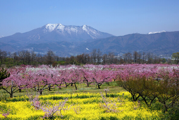 出典：一般社団法人信州須坂観光協会