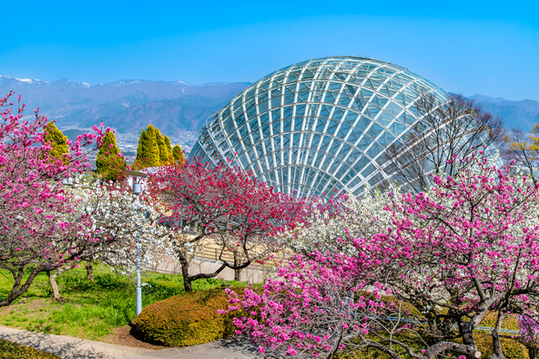 フルーツラインの中間に位置する「山梨県笛吹川フルーツ公園」（画像提供：denkei / PIXTA）