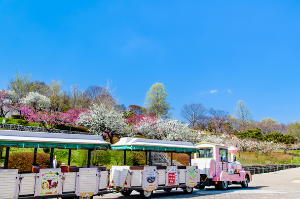 広々とした園内から楽しむ春の風景（画像提供：denkei / PIXTA）