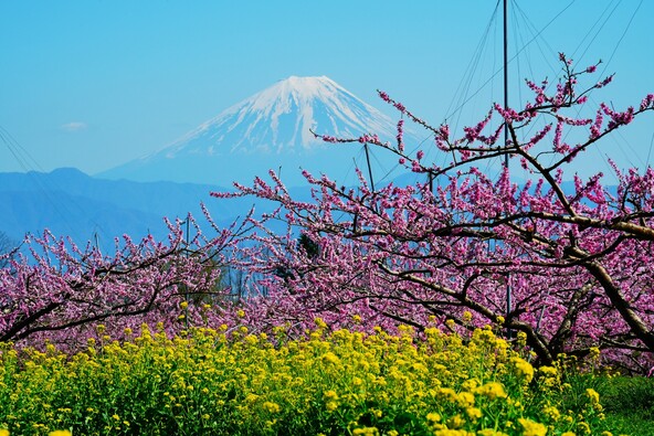 天気の良い日には富士山も望めます（画像提供：Shiki / PIXTA）
