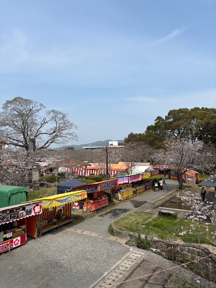 2026年3月27日の様子