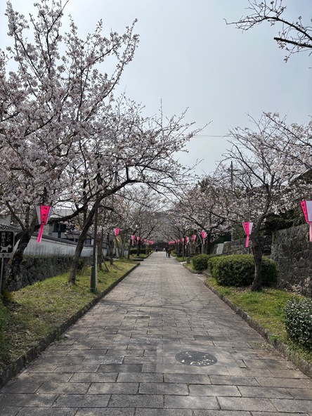 2026年3月27日の様子