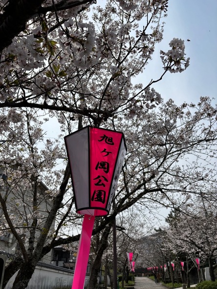 2026年3月27日の様子