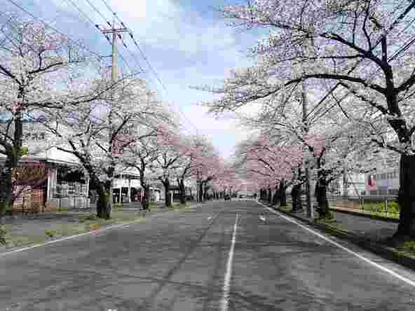 画像提供：久喜市観光協会