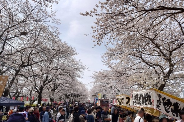 約400本の桜並木とお祭りを楽しもう！