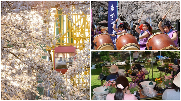 桜とツツジが楽しめる遊園地で春の人気イベント開催！