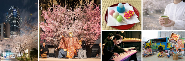 六本木で”都心型お花見”を満喫♪