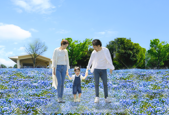 ネモフィラスカイステージ（特設フォトスポット）※イメージ