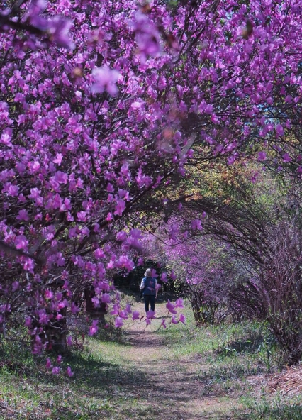 心が豊かになる参拝のひととき（画像提供：綾部市観光協会）