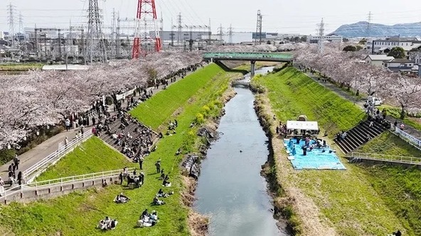 市内屈指の桜の名所で行われる桜まつりです