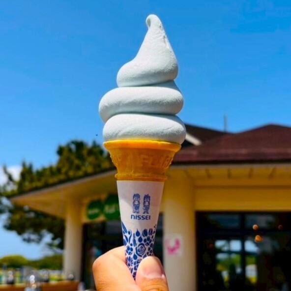 丸くて可愛いフォルムのネモフィラソフト（500円）