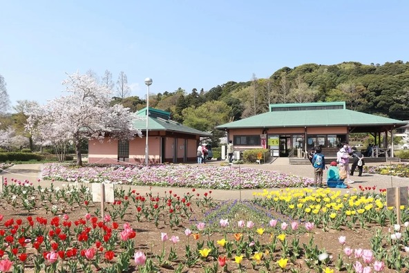 親子で楽しめる催しがたくさんあります