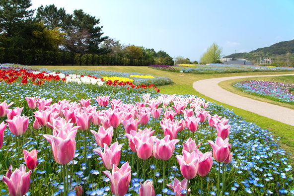 春の「淡路島国営明石海峡公園」（画像提供：hide32750 / PIXTA）