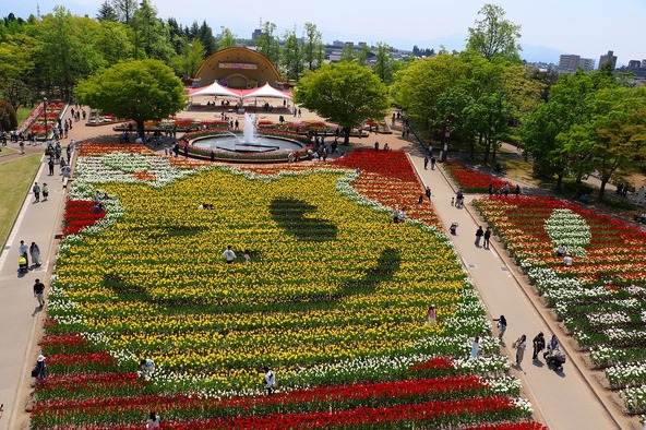 巨大なチューリップの地上絵に子供もびっくり！