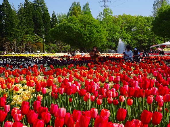 事前に入場券を購入しておくと来場もスムーズです♪