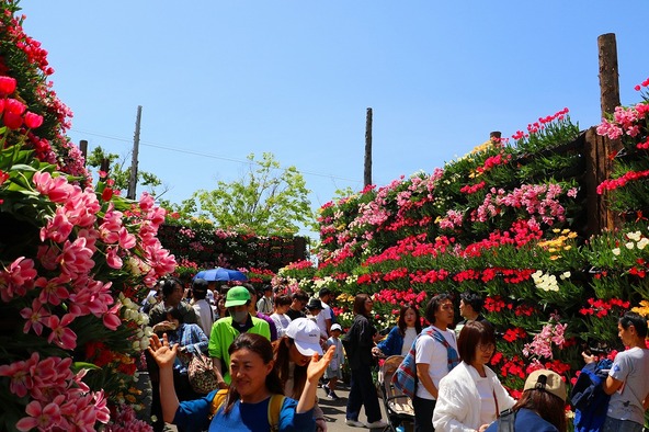 「砺波チューリップ公園」の見どころをチェック！