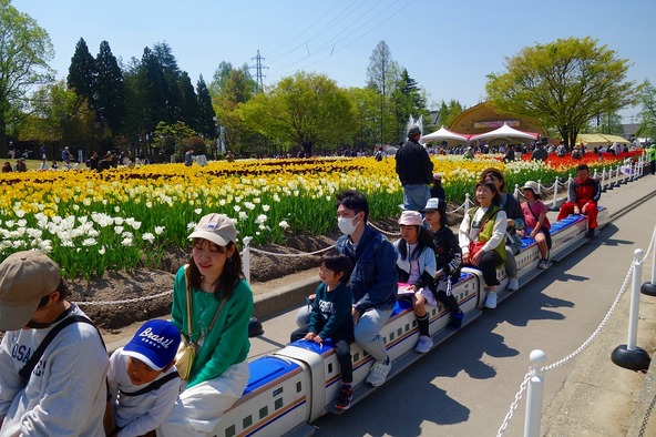 目線の高さが低いミニ列車だからこそ、花に囲まれるような感覚を味わえます♪