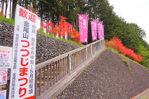 つつじを眺めながら展望台へ（画像提供：かたつむり / PIXTA）