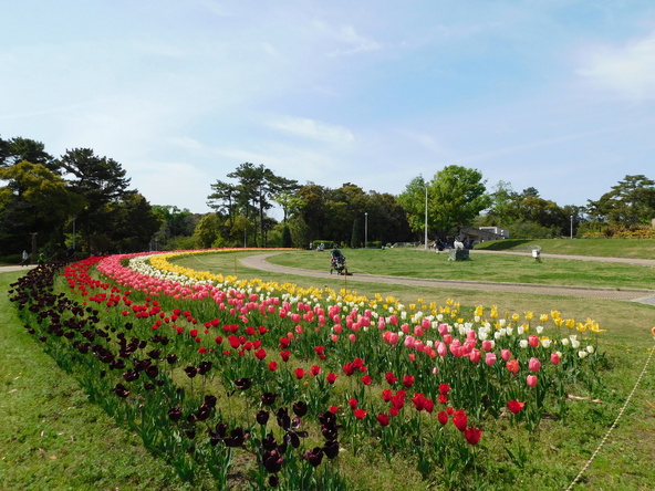 円形花壇過去の様子（画像提供： 開運招福招き猫 / PIXTA）