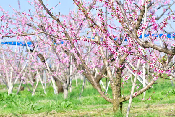 画像はイメージです（画像提供：UI_forever / PIXTA）