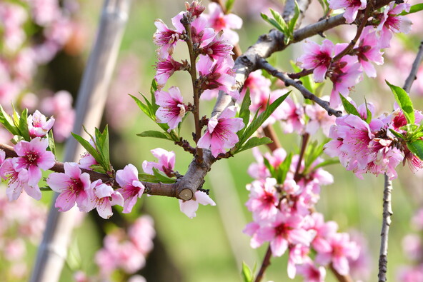 画像はイメージです（画像提供：UI_forever / PIXTA）