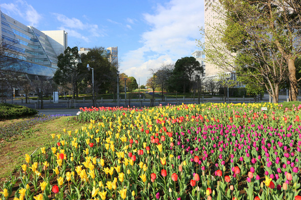 シンボルプロムナード公園