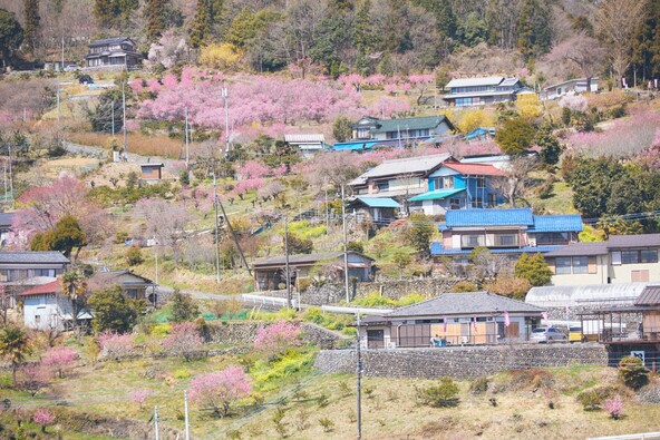 写真提供：埼玉県 / 複製・再転載禁止